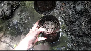 Treasure in the stream. Metal detecting and relic hunting with metal detector.