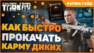 Тарков КАРМА ДИКИХ гайд 2022 | Escape From Tarkov репутация скупщика 12.12 | EFT