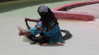 A Gator Peed On Noah At Miccosukee Indian Village