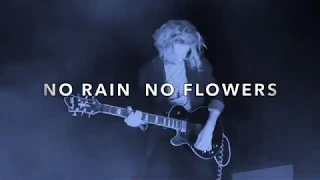 Charlie Bedford - No Rain No Flowers