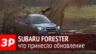 Subaru Forester 2016: что обновили?