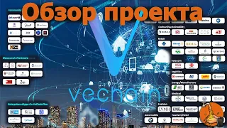 Что такое Vechain ? / Обзор проекта