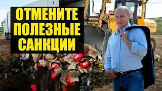 Лицемерие Путина и просьба отменить санкции