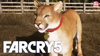 FAR CRY 5 - LIBERTANDO E USANDO A PUMA CHUCHU COMO COMPANHEIRA (Especialista)