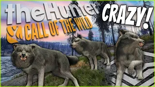 We Found An AWESOME Diamond Wolf! But Then Things Went TERRIBLY WRONG... Call of the wild