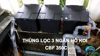 Lắp Đặt Thùng Lọc Hồ Koi 3 Ngăn Sunsun CBF 350c , Bơm HAS 20 Và Đèn UV 30W