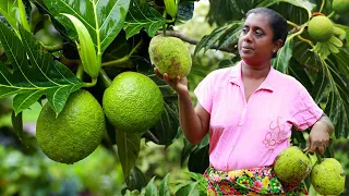 Did you know that breadfruit can be stored for 6 months and then eaten? .village kitchen recipe