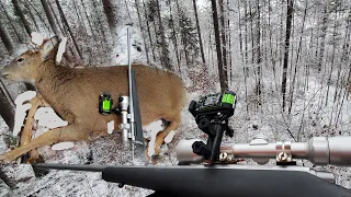 Hmoob Tua Moslwj / Gun Deer Season