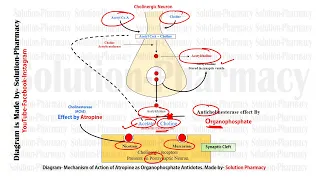 GPAT Exclusive= Antidote for Organophosphorus Poisoning | Atropine Mechanism of Action as Antidotes