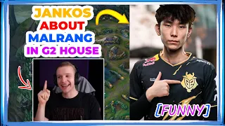 G2 Jankos About Malrang in G2 House [FUNNY]