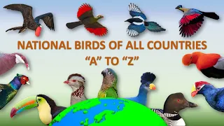 National Birds of All Countries 🐦 🌏 | National Birds | Countries | Conservation