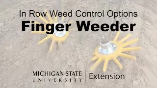 Finger Weeder - In Row Weed Control Options