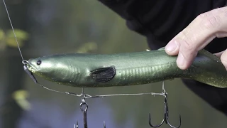 Line thru Release rig  How to  (40 cm Real Eel)