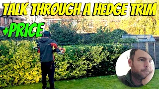 Talking through a Hedge Trim including Price