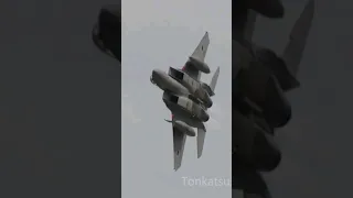 これが20万馬力の航空自衛隊主力戦闘機！F-15が自分に向かって猛突進！フルアフターバーナー離陸、直後の超低空で急旋回！