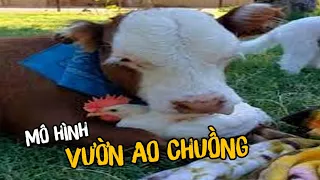 KIẾP NẠN THỨ 2 | MANG MÔ HÌNH VƯỜN AO CHUỒNG VÀO LIÊN MINH