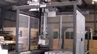 4 Axis Palletizer
