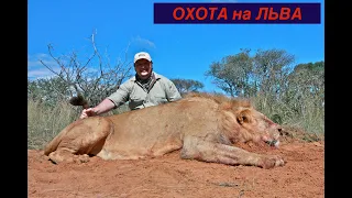 Africa in the Scope Part1 Охота на Льва Big 5 Lion Hunting