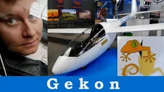 Gekon - the 69kg ultralight glider [VIntage Sky]