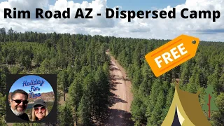 Rim Road AZ - Dispersed Camping - FR 300, Horse fight and Haunted Tree