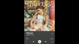 Mehdi fadili- mryech