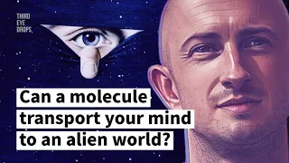 Neuroscientist, Andrew Gallimore on DMT and the Illusion of Reality