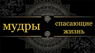 Мудры спасающие жизнь. Тантрические секреты из йоги: апана, прана, сандживани.