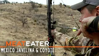 Skunk Pig: Mexico Javelina & Coyote | S3E06 | MeatEater