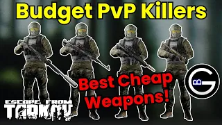 Tarkov Budget Guns for PVP: Destroy geared PMCs with these weapons!
