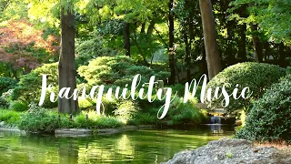 🌟 Tranquility Music: Serene Sounds for Peaceful Minds 🎶