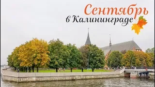 Осень в Калининграде / сентябрь 2019