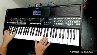 Ricchi e Poveri - Come Vorrei cover Yamaha PSR SX-600