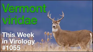 TWiV 1055: Vermont viridae