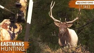 Bow hunting BONANZA! DIY Public land elk hunt during the rut (Eastmans')