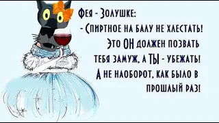 ✔️Куда ни глянь, одни принцессы и королевны!Золушку хочу. Анекдоты с Волком.#ВГостяхУВолка