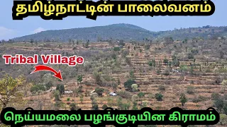 தமிழ்நாட்டின் பாலைவன பழங்குடியின கிராமம்|neyyamalai tribal village|வறட்சி🥵🥵