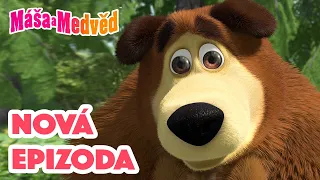 Máša a Medvěd 💥NOVÁ EPIZODA💥 Učitel tance 💃🏼 Kolekce epizod 🎬