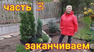 Делаем клумбу непрерывного цветения  -  для хвойных и многолетников. Часть 3  - высаживаем растения.