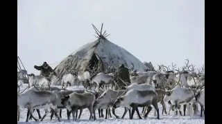 Боевые Алени из якутии, рассказывают о состоянии дел второй армии мира изнутри, а не так, как по тв.