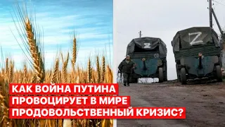 ❗️Спасает мир от голода. Как Украина решает продовольственный кризис