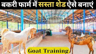 शेड निर्माण 👍बकरी फार्म के लिए सस्ता शेड बनाने का तरीका // Goat Farm Shed Degine #goat farm in Hindi