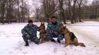 Полиция поздравляет с 8 марта