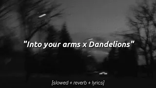 Into Your Arms x Dandelions [𝙎𝙡𝙤𝙬𝙚𝙙 + 𝙍𝙚𝙫𝙚𝙧𝙗 + 𝙇𝙮𝙧𝙞𝙘𝙨]