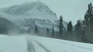 The Most Scenic Road Trip from Jasper to Banff Through Icefields Parkway, Alberta, Canada