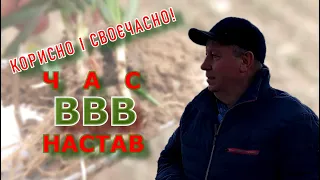 Корисно і своєчасно! Час ВВВ настав!