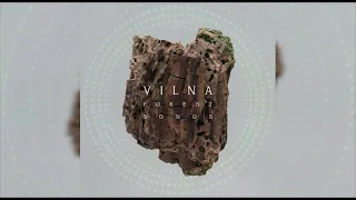 VILNA - Лісова Пісня (Zaec Remix)