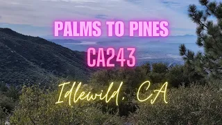 CA243 to Idlewild, palms to pines, Great ride!