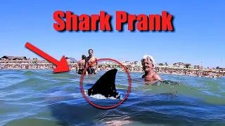 Epic Shark Prank !!!🦈