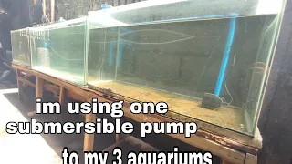 Diy aquarium Overflow three aquarium one submersible pump