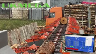 UMG 803.04 Rąstų rūšiavimo linija | Logs sorting line | Линия сортировки бревен